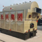 biomass steam boiler