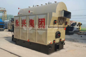 biomass steam boiler