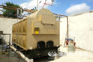 biomass steam boiler