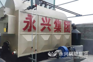 biomass steam boiler