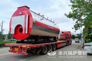 gas fired steam boiler