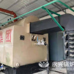 wood fired steam boiler