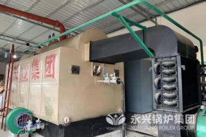 wood fired steam boiler