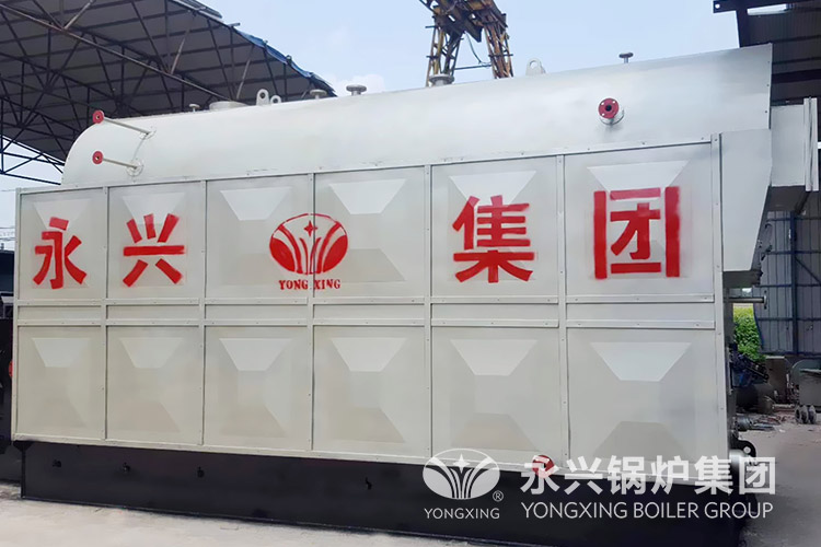 biomass hot water boiler