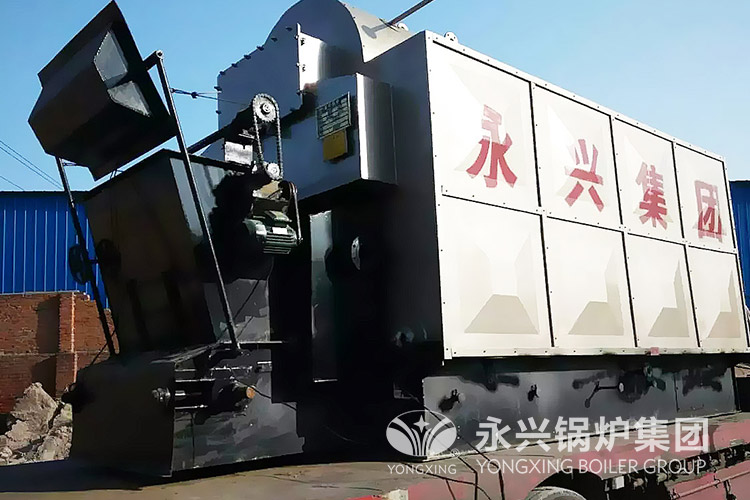 biomass steam boiler