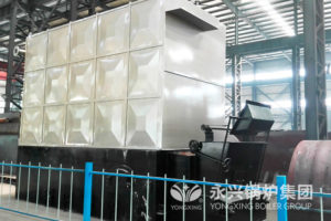 biomass thermal oil boiler