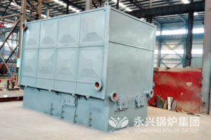 biomass thermal oil boiler