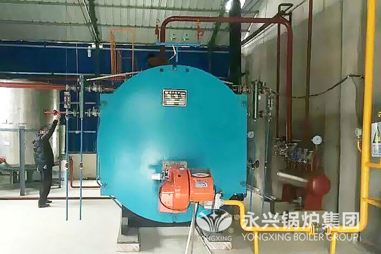 gas steam boiler