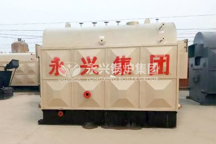 biomass hot water boiler