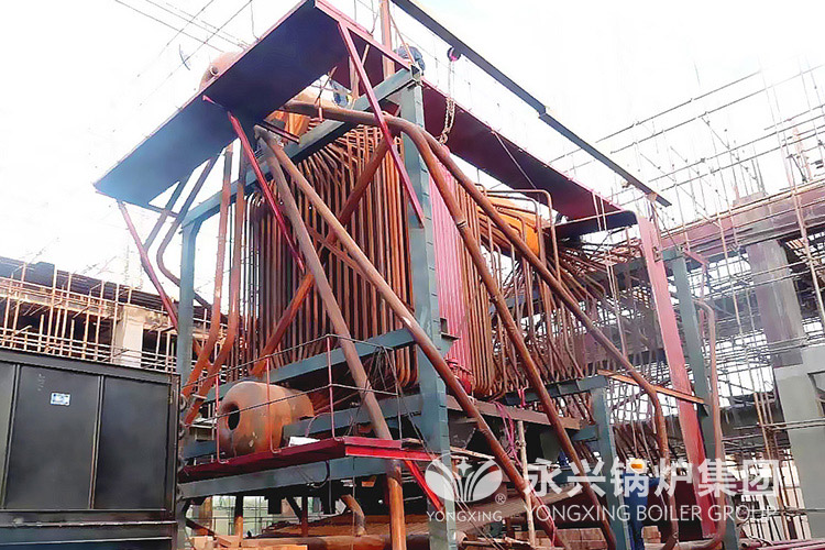 biomass steam boiler