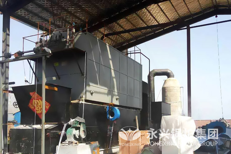 biomass wood fired hot water boiler