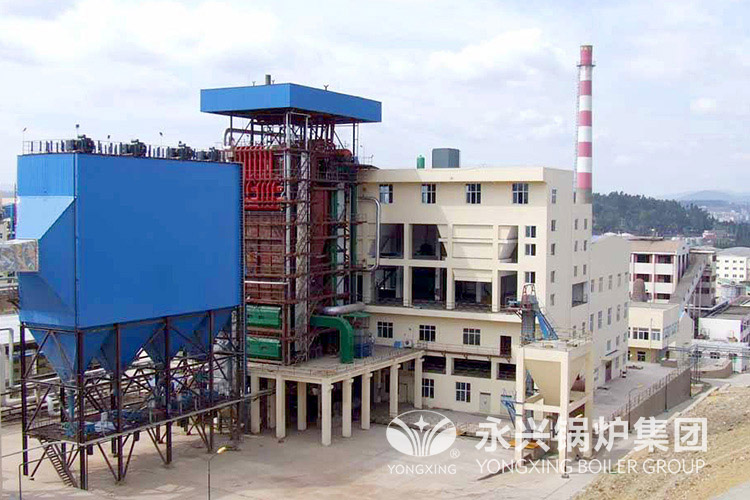 HUAYING food factory steam boiler