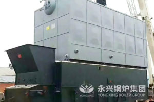 6TON STEAM BOILER BIOMASS