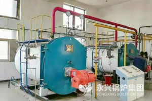 1 ton steam boiler