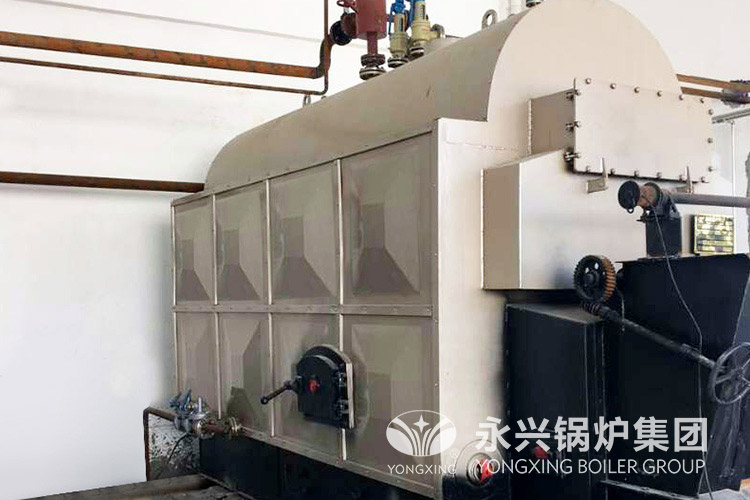 biomass steam boiler