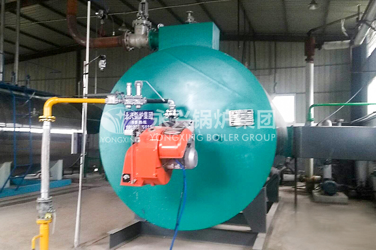 gas fired hot water boiler