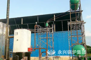 thermal oil boiler