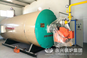 thermal oil heater