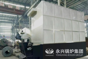 biomass thermal oil heater